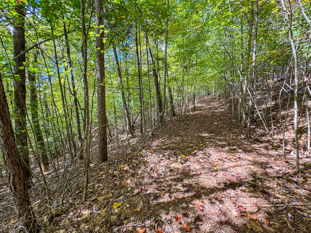 0 Wolf Print Ridge Murphy, NC 28906 - Photo 7 of 17