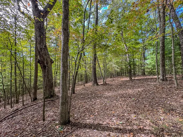 $89,000 | 0 Wolf Print Ridge, Murphy, NC 28906