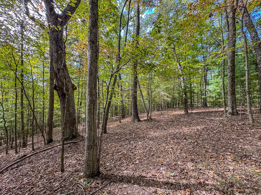 0 Wolf Print Ridge Murphy, NC 28906 - Photo 8 of 17
