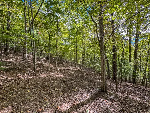 $89,000 | 0 Wolf Print Ridge, Murphy, NC 28906