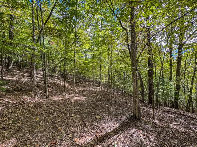 $89,000 | 0 Wolf Print Ridge, Murphy, NC 28906