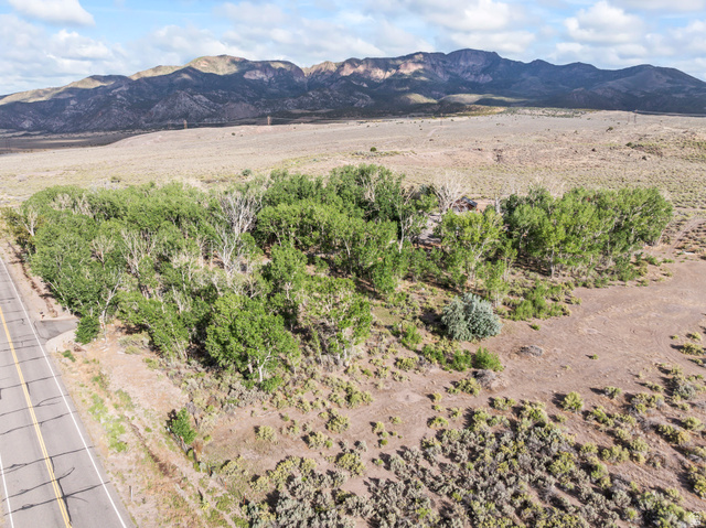 460 Omni Point Road Central Valley, UT 84754 - Photo 97 of 101 Expansive natural landscape featuring lush green trees, a paved road, and distant mountains