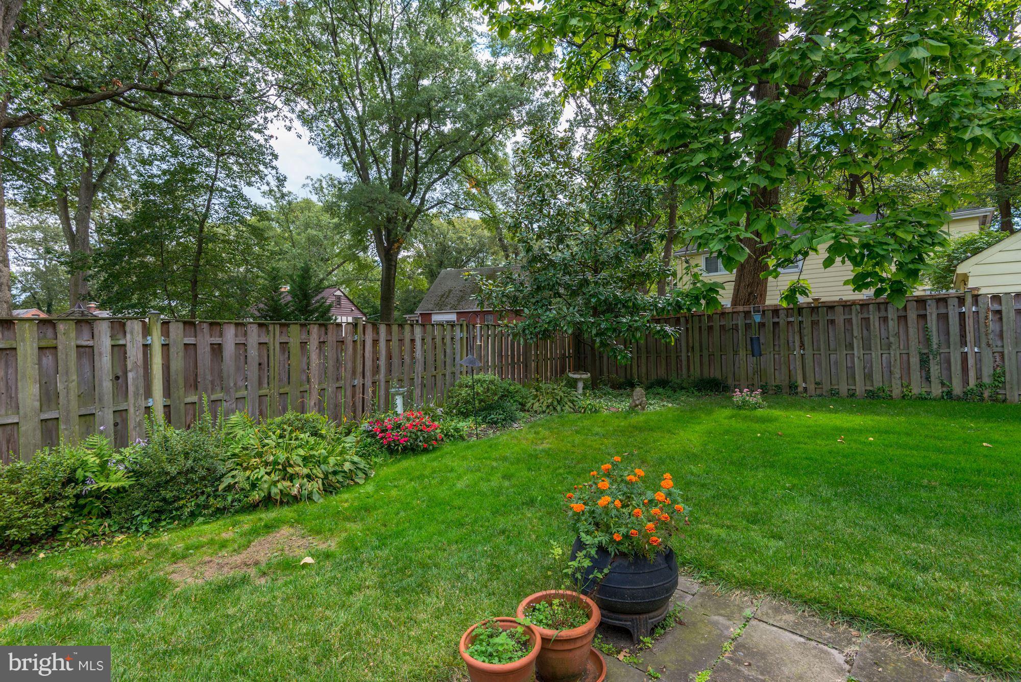 7 Hilltop Road Silver Spring, MD 20910 - Photo 20 of 21 Rear Yard