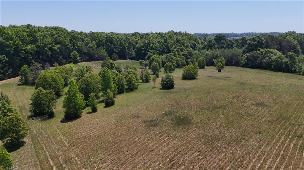 0 Witty Road Summerfield, NC 27358 - Photo 10 of 21