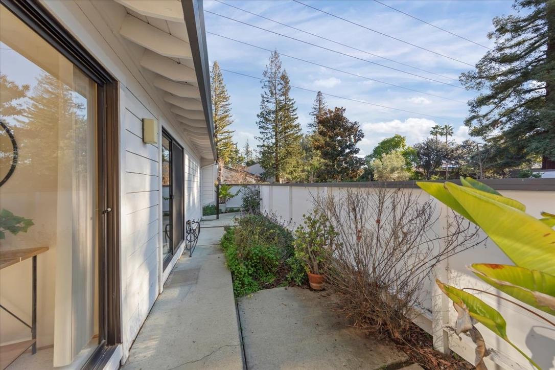 100 Strathmore Place Los Gatos, CA 95032 - Photo 31 of 39 a view of a backyard with plants