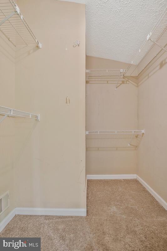 2402 Beechnut Place Odenton, MD 21113 - Photo 24 of 40 Primary Walk In Closet