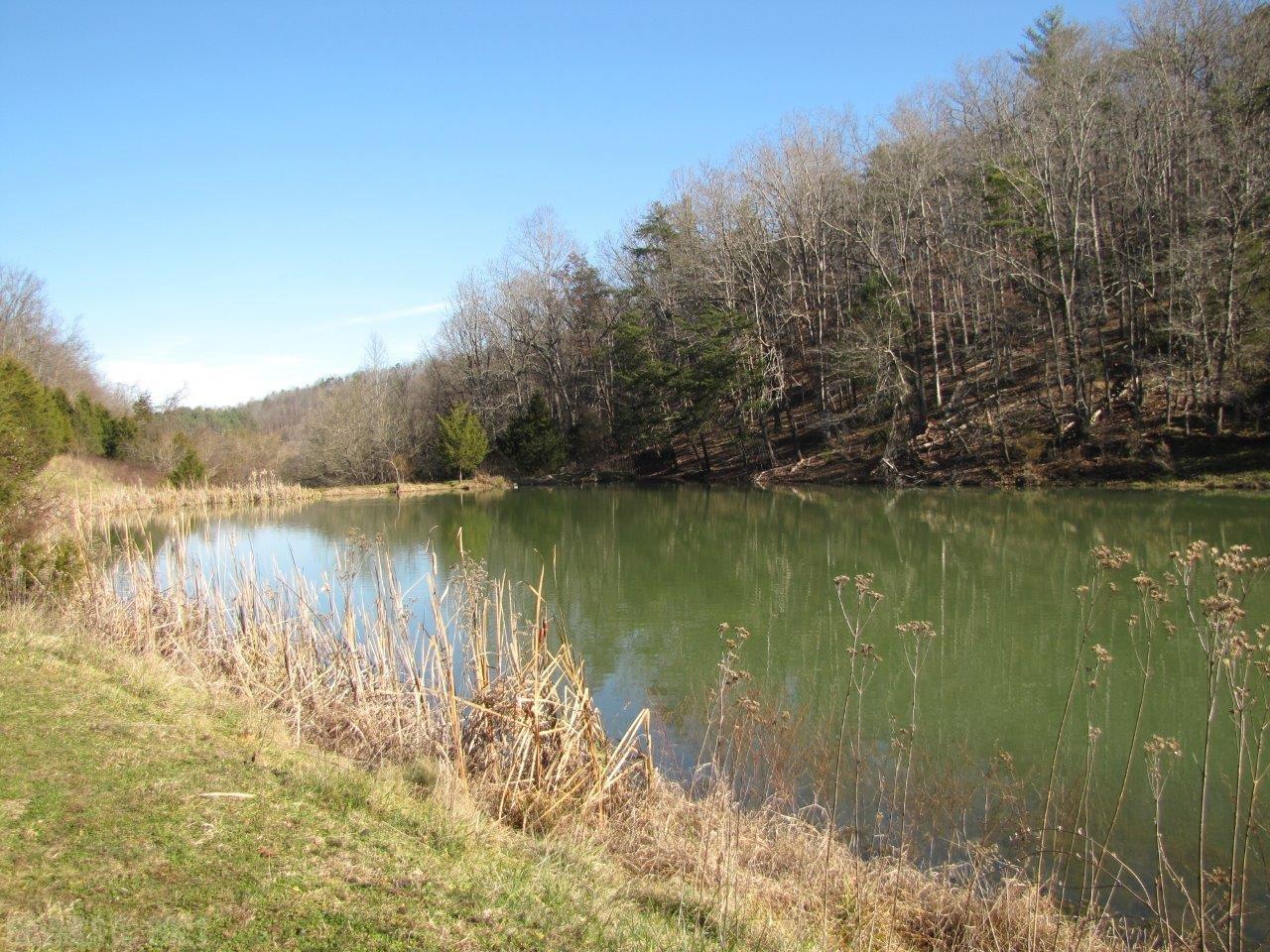 488 Friendship Road Shawsville, VA 24162 - Photo 11 of 23 Gallery Image 11