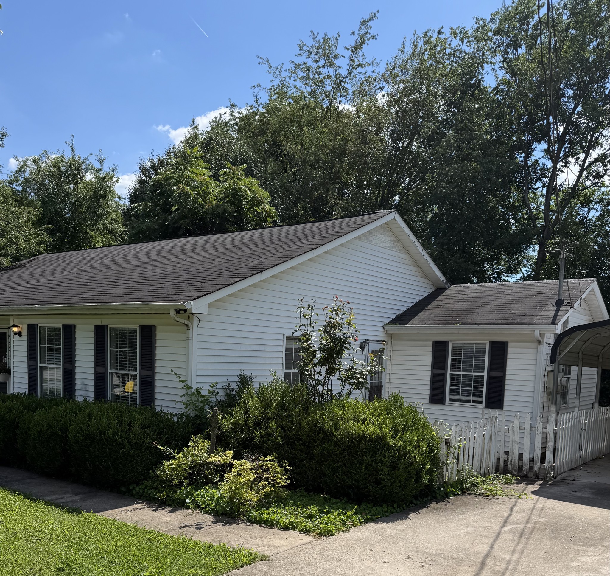 337 Sunshine Circle Decherd, TN 37324 - Photo 3 of 44