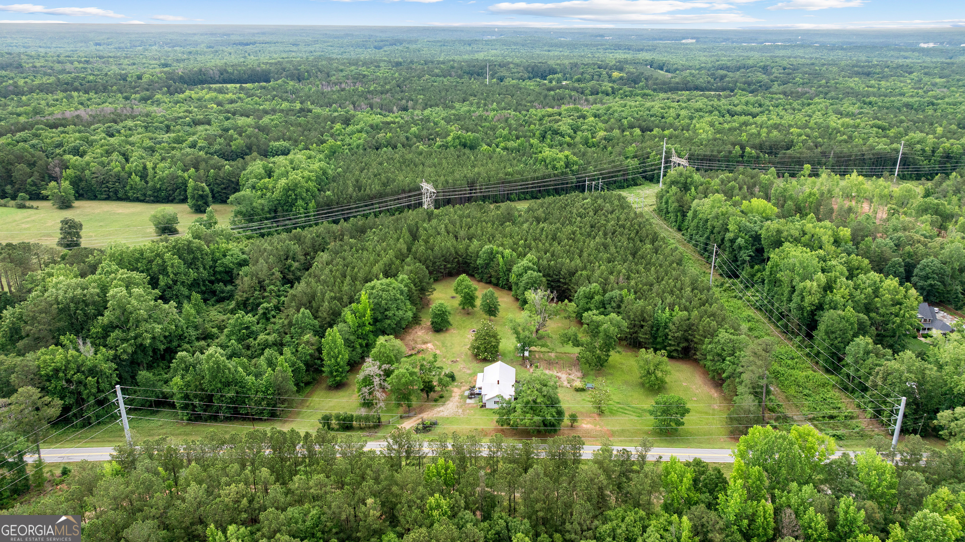 1329 Standing Rock Road Senoia, GA 30276 - Photo 52 of 77 a view of a lush green forest with lots of trees