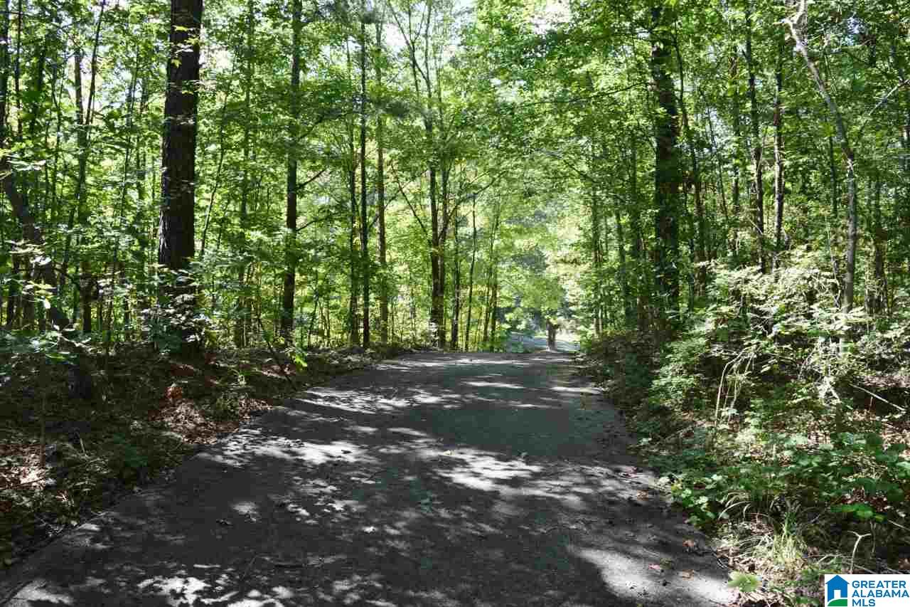 771 Hickory Valley Road Trussville, AL 35173 - Photo 38 of 38