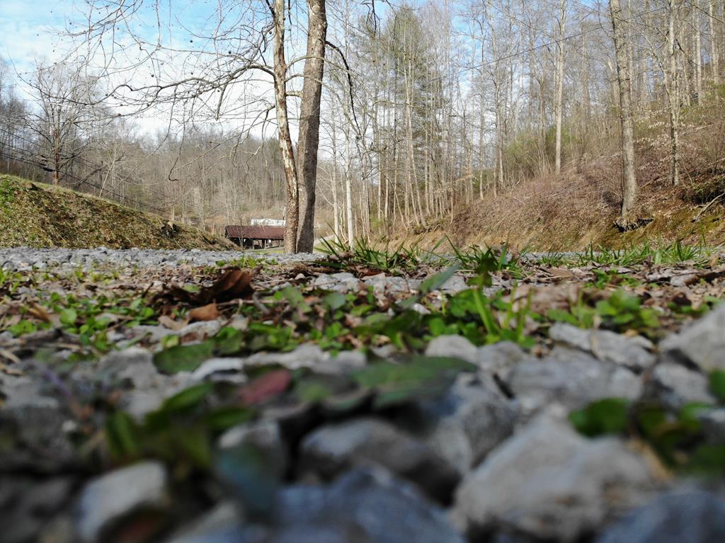 1063 Coal Miner Road Vansant, VA 24656 - Photo 32 of 50 Gallery Image 32