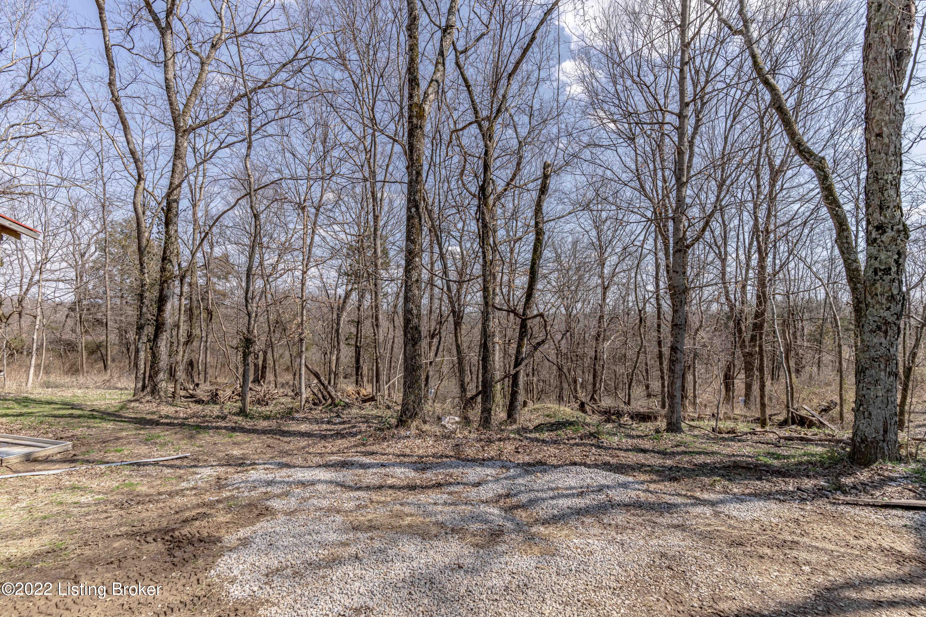9490 Waddy Road Waddy, KY 40076 - Photo 34 of 36 Trees