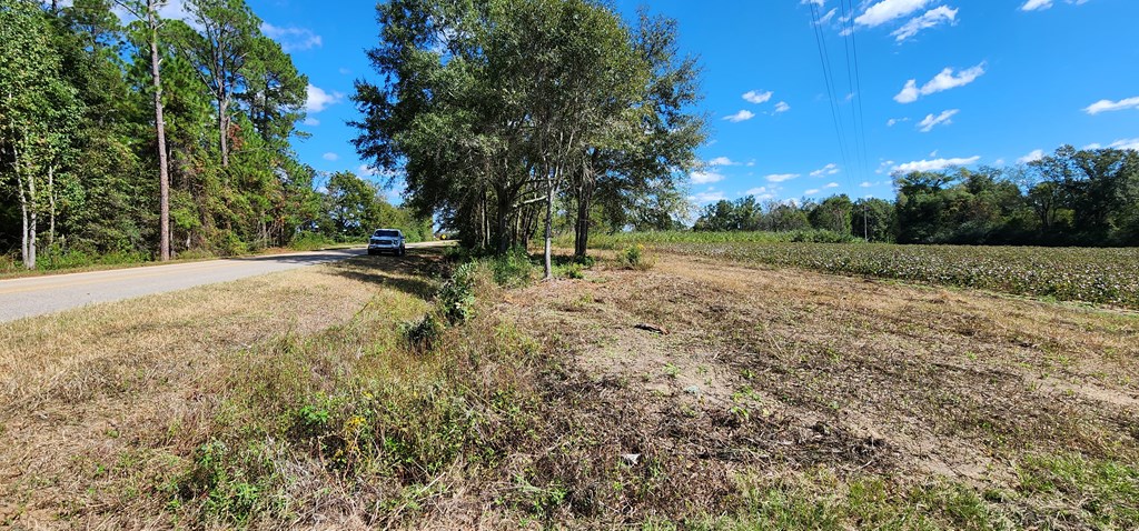 92 County Road 92 Slocomb, AL 36375 - Photo 10 of 32