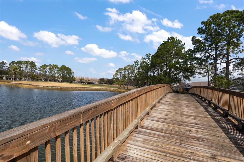 1237 Rambling Vine Court Trinity, FL 34655 - Photo 67 of 76