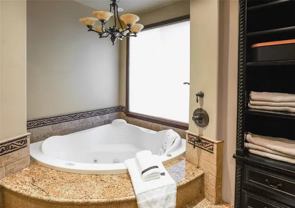 a view of a garden with plants