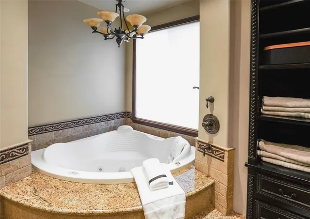 a view of a garden with plants