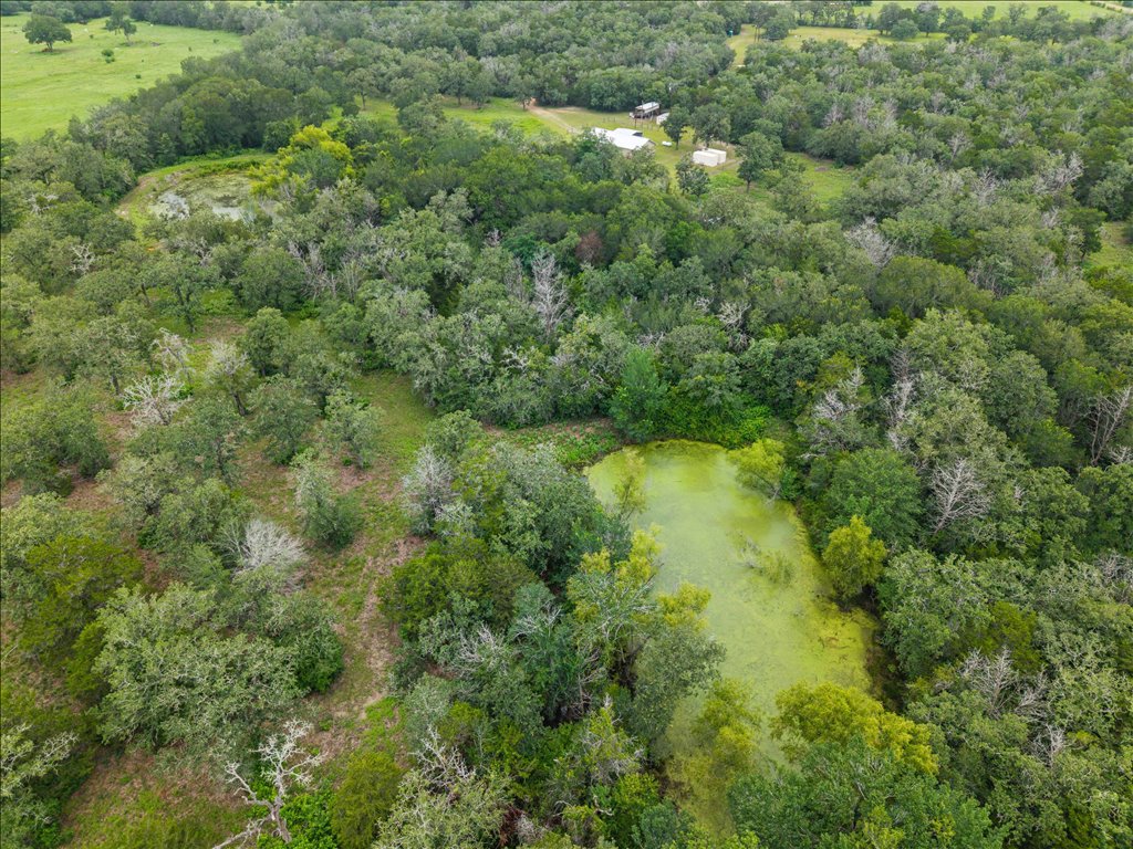 608 Whistleville Road Flatonia, TX 78941 - Photo 24 of 26 And here is a look at the second pond nestled deeper into the property. Having multiple water features on a property of this scale is incredibly rare.