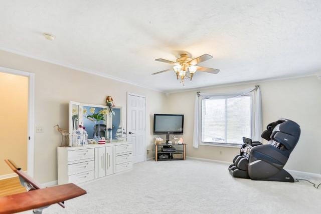 6330 Lorry Lane Pendleton, IN 46064 - Photo 16 of 35 Gallery Image 16
