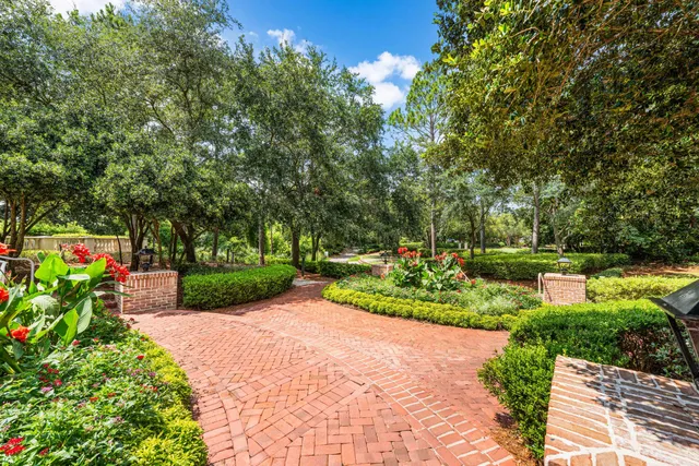 a view of park with plants and large trees