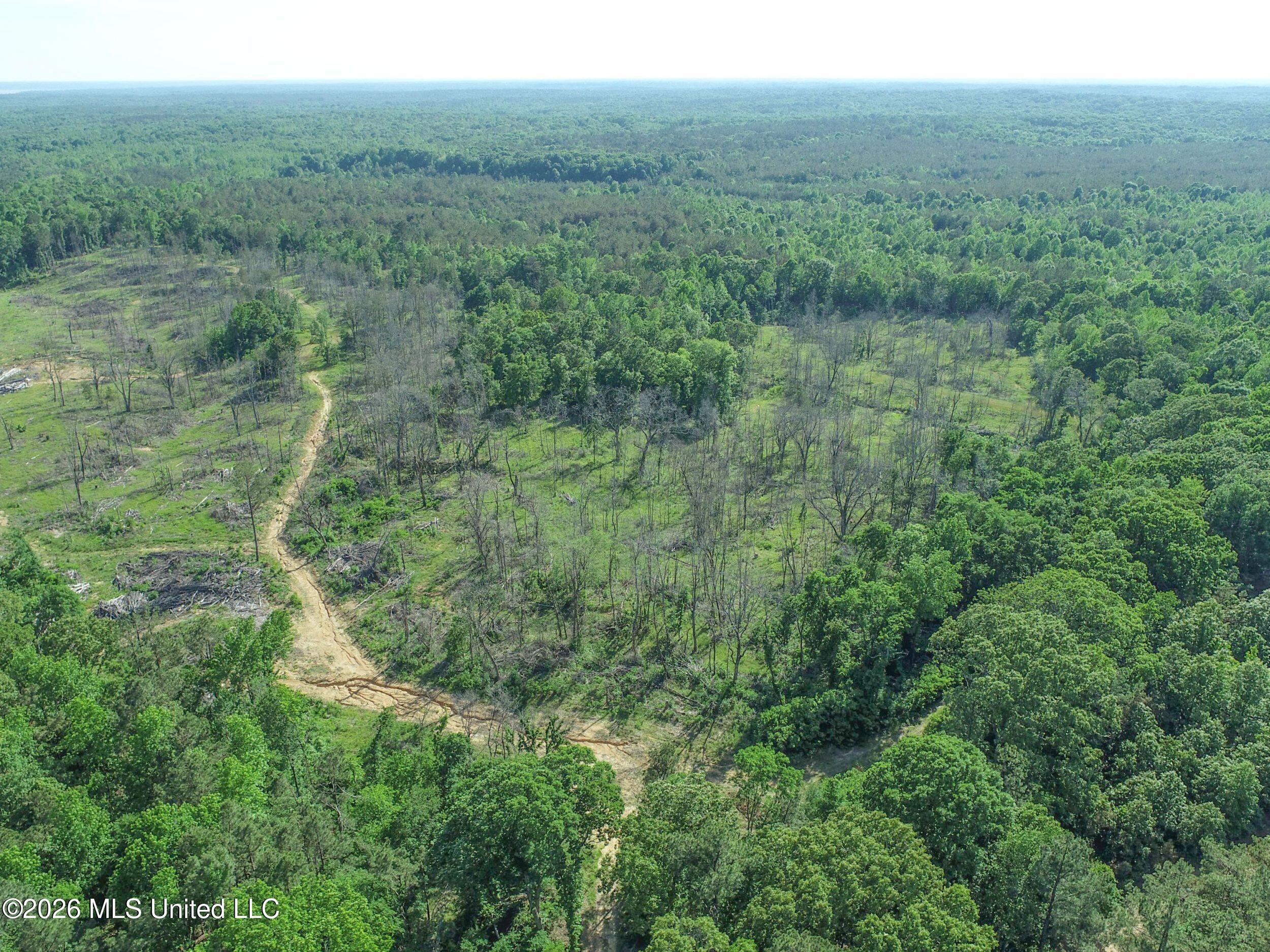 Wayne Massie Road Como, MS 38619 - Photo 27 of 184 3ctwmrd11
