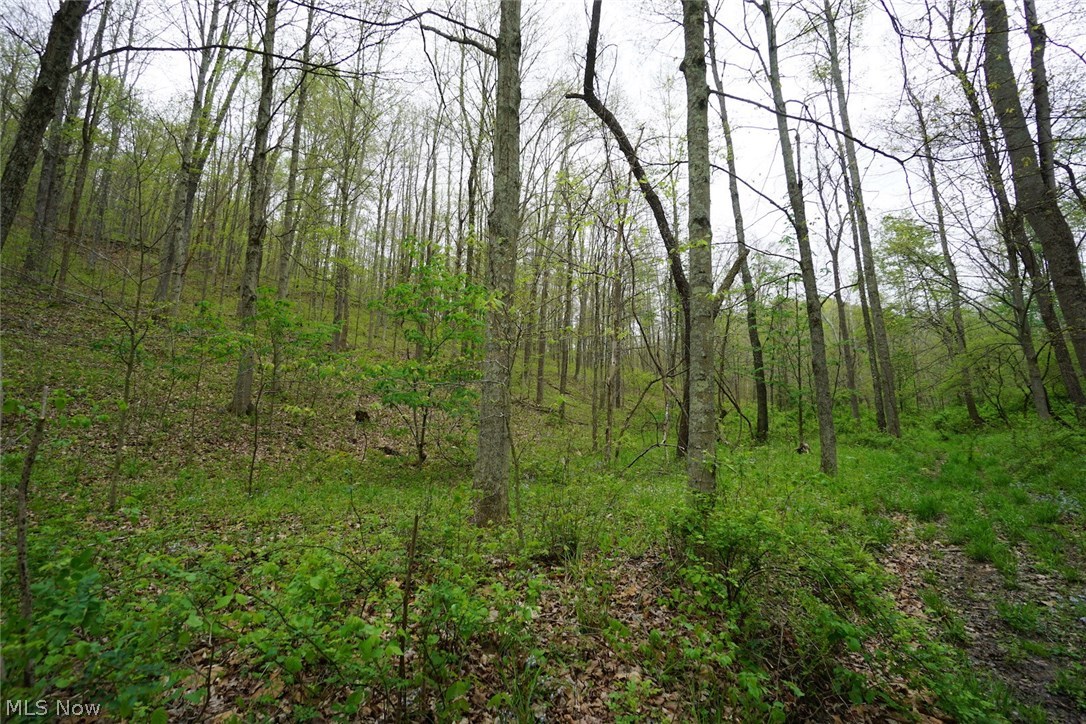 Dutch Creek Road Athens, OH 45701 - Photo 14 of 28