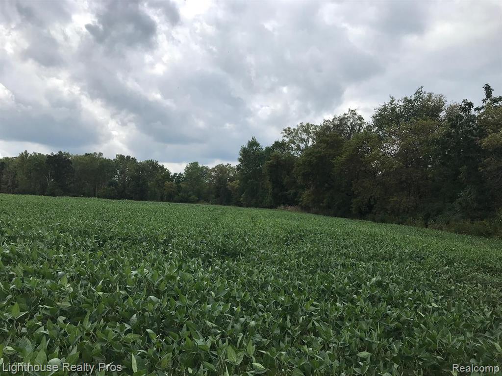 Par A Dwyer Road Howell, MI 48855 - Photo 3 of 12