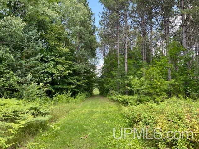 T-wi Birch Hill Road Amberg, WI 54102 - Photo 7 of 21