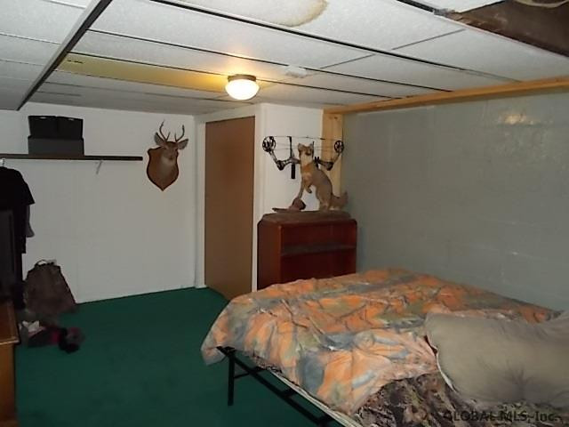 111 Evans Road Rotterdam, NY 12306 - Photo 13 of 24 Photo 13