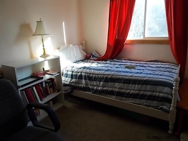 111 Evans Road Rotterdam, NY 12306 - Photo 21 of 24 Photo 22