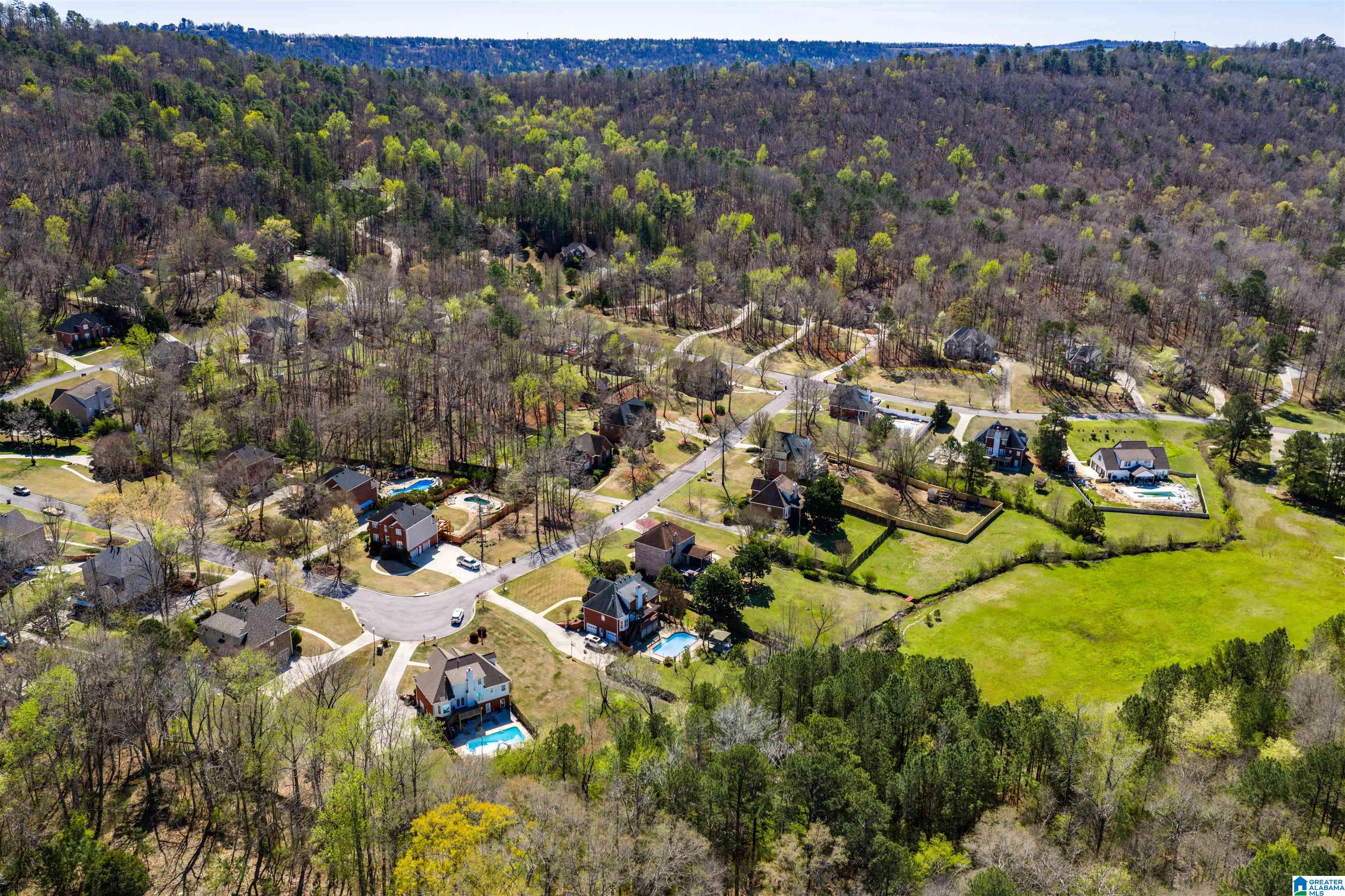 248 Silverleaf Drive Pelham, AL 35124 - Photo 69 of 72