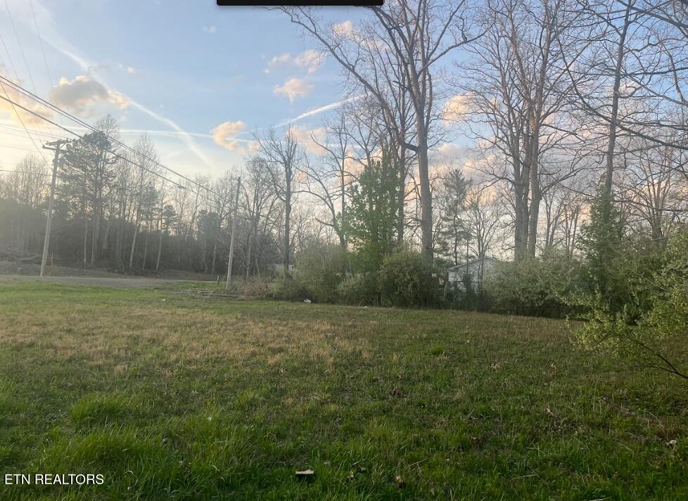 Glass House Road Helenwood, TN 37755 - Photo 1 of 3 Screenshot 2026-03-31 211946