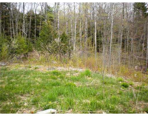 31 Morrill Road China, ME 04358 - Photo 9 of 13 Yard/Garden.