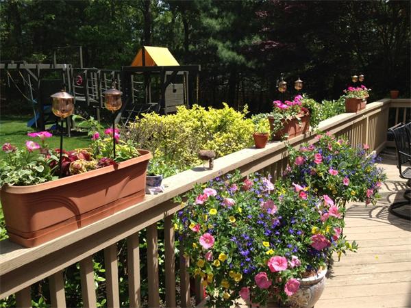 271 Candlestick Road North Andover, MA 01845 - Photo 27 of 30 Gallery Image 27