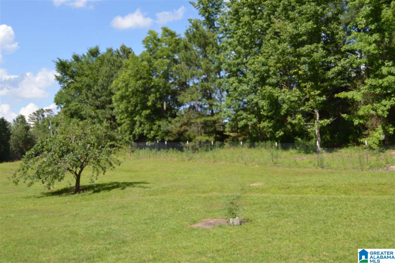 4051 Ebell Road Oneonta, AL 35121 - Photo 36 of 36