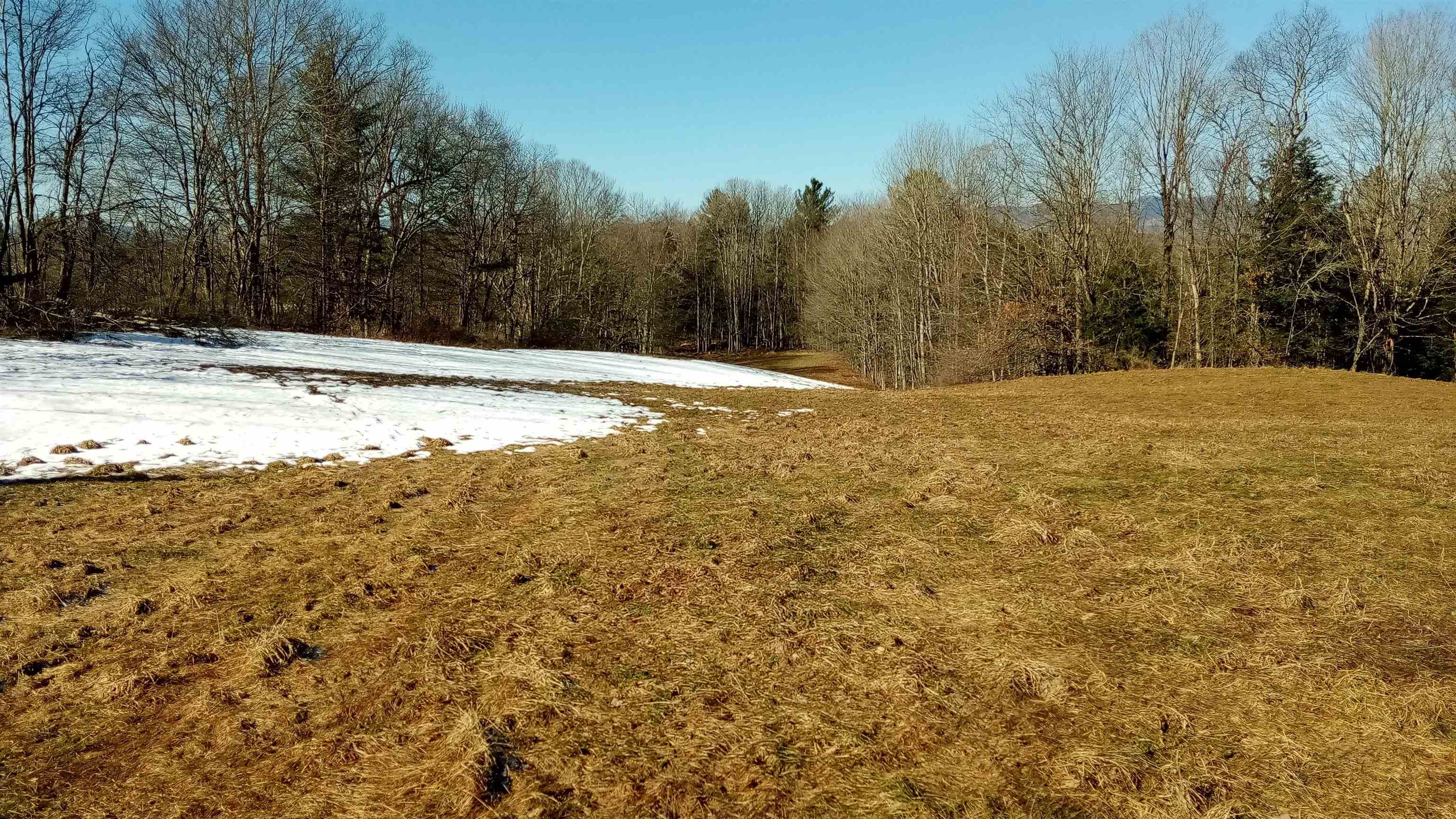 656 Lower Elmore Mountain Road, Unit 1 Morristown, VT 05661 - Photo 5 of 6