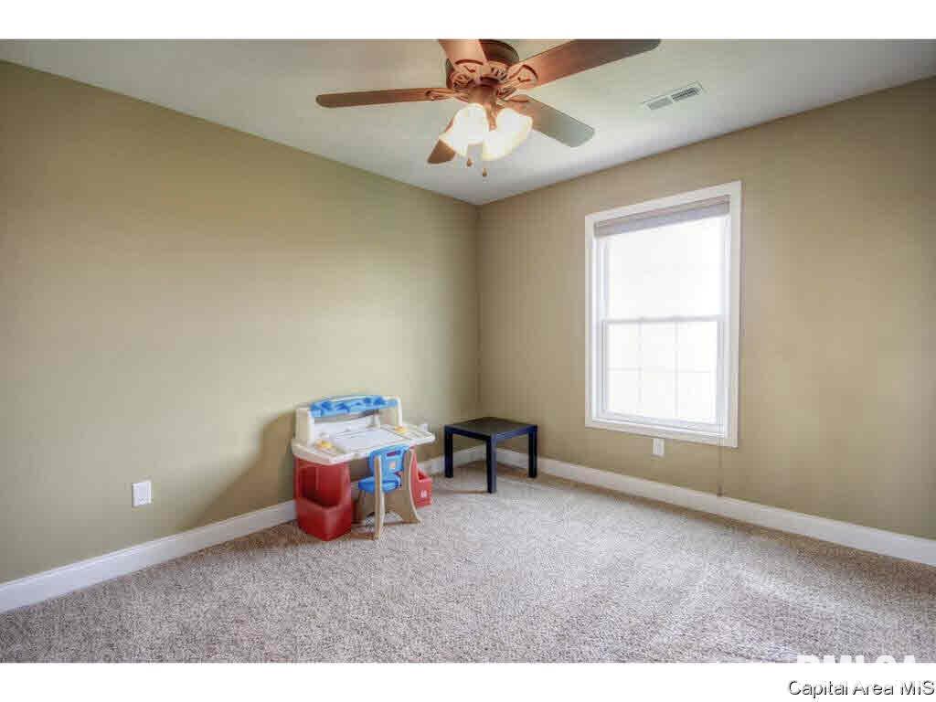 629 Racastle Road Chatham, IL 62629 - Photo 29 of 36 Gallery Image 29