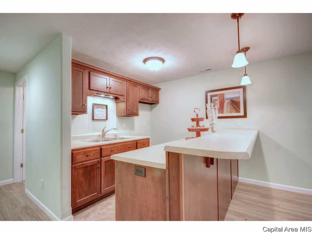 629 Racastle Road Chatham, IL 62629 - Photo 30 of 36 Gallery Image 30