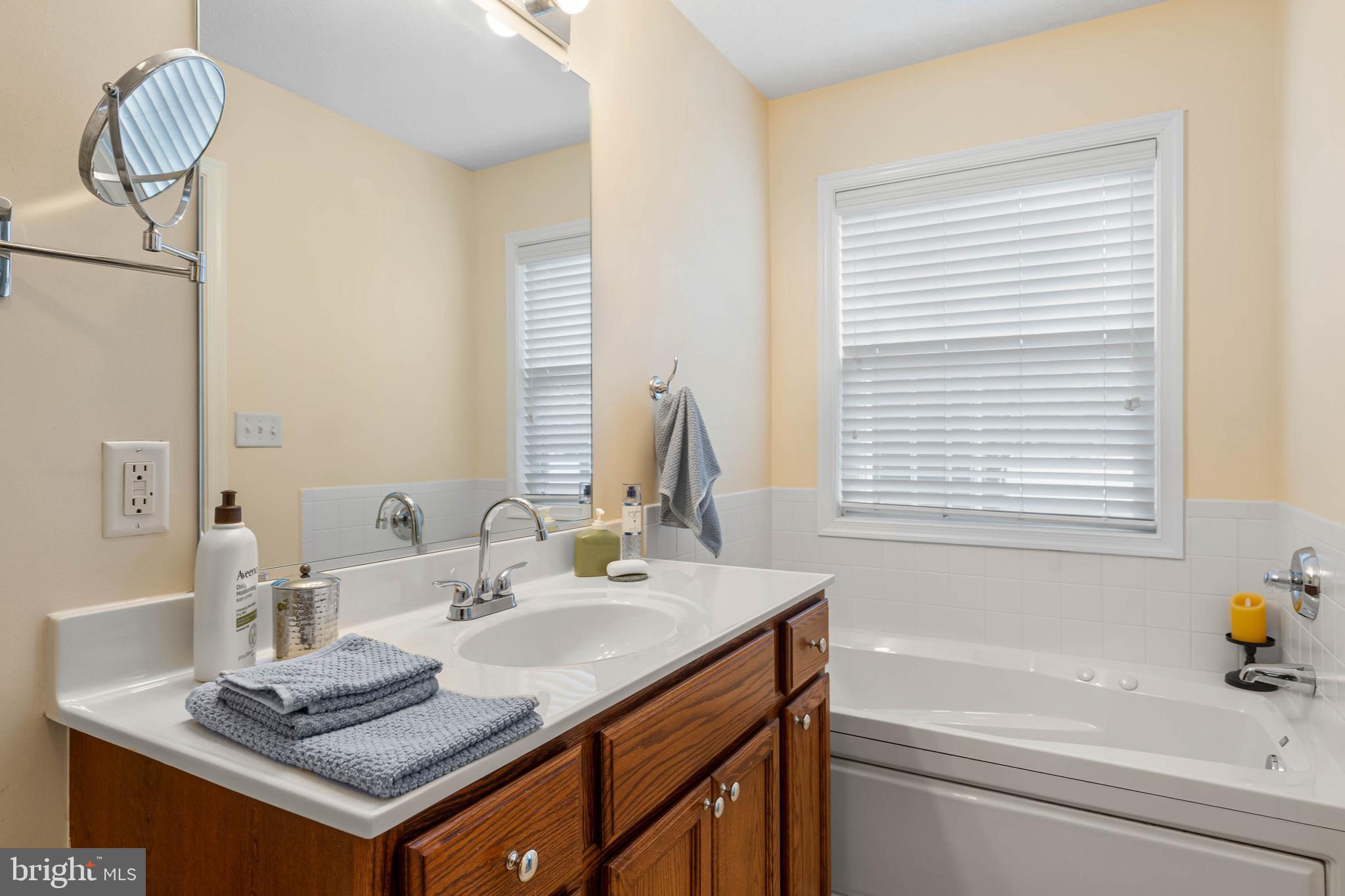 16359 John Rowland Trail Milton, DE 19968 - Photo 15 of 38 Jet spray tub PLUS glass door shower.