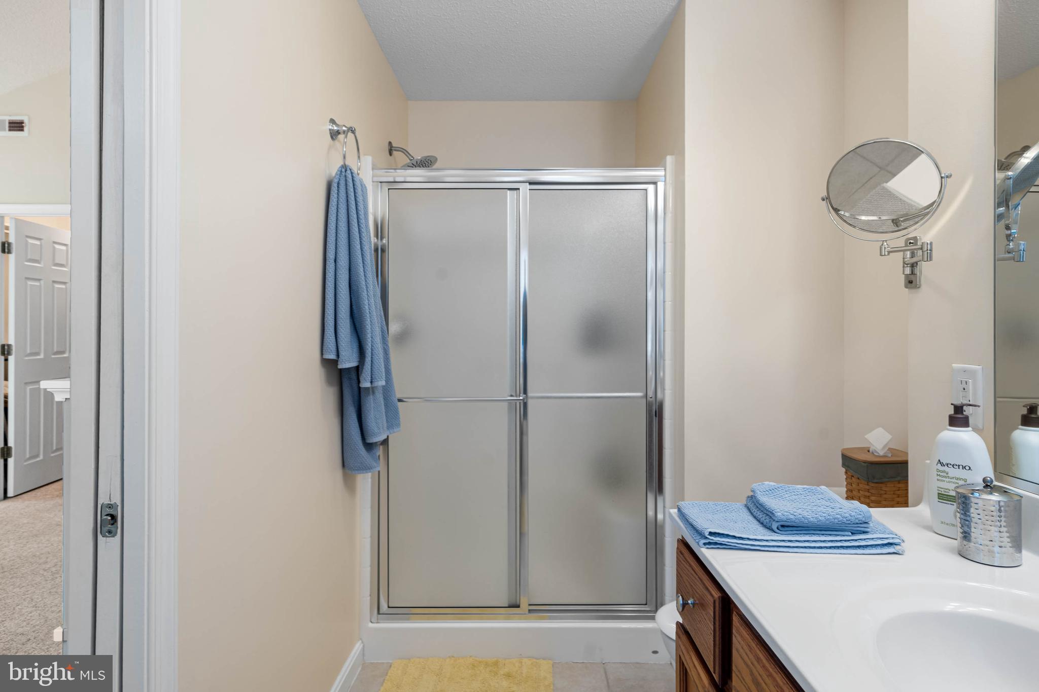 16359 John Rowland Trail Milton, DE 19968 - Photo 16 of 38 Glass door shower PLUS jet spray tub