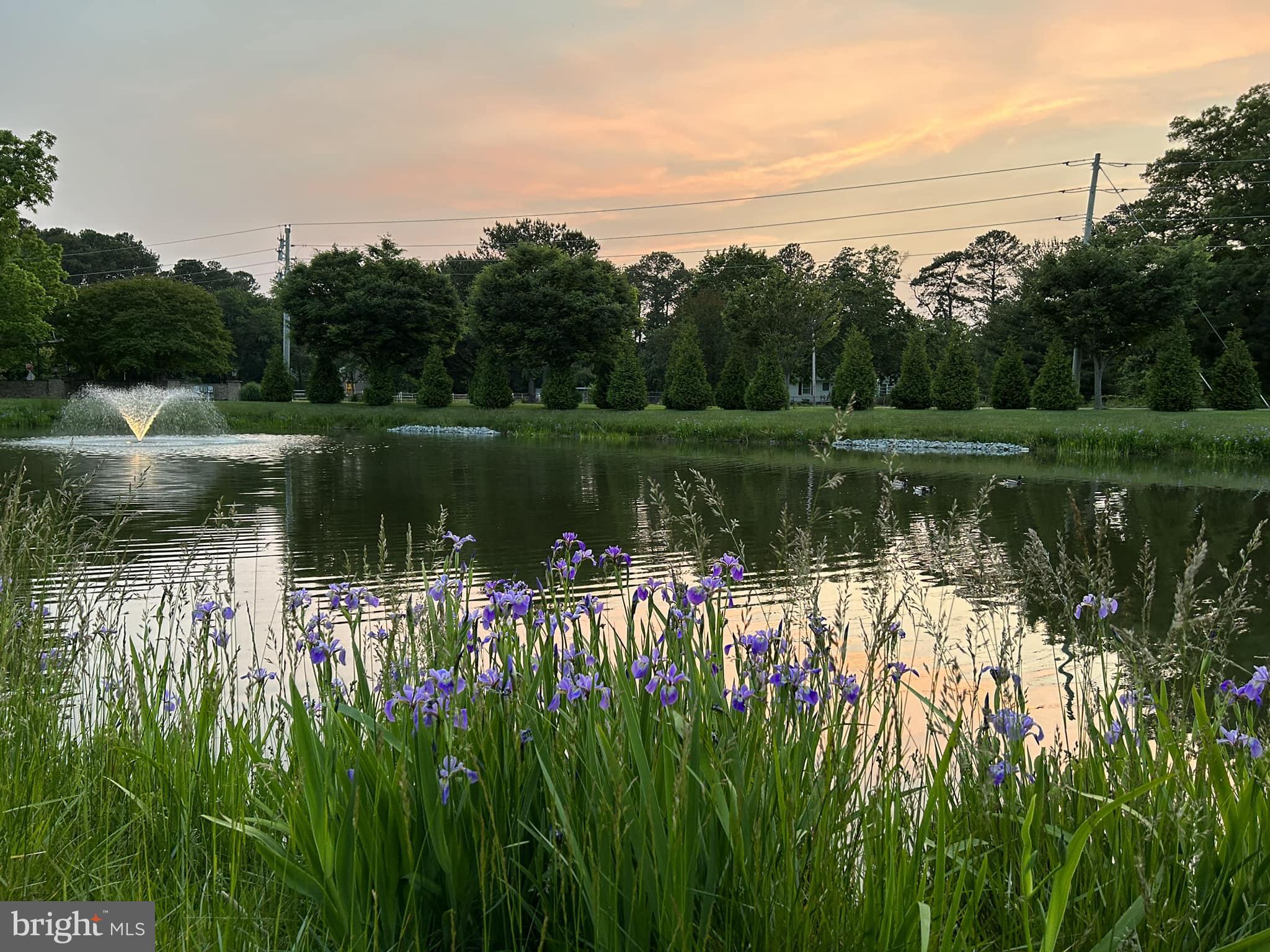 16359 John Rowland Trail Milton, DE 19968 - Photo 33 of 38 5 ponds AND a walk/jog trail!