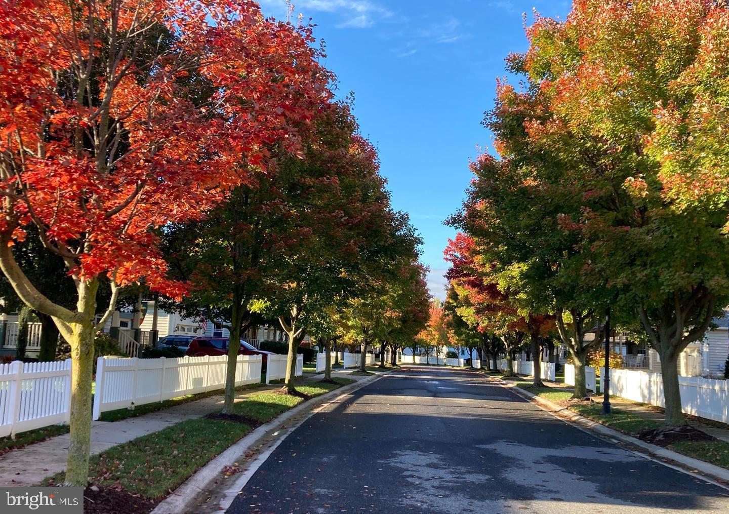 16359 John Rowland Trail Milton, DE 19968 - Photo 34 of 38 Gorgeous community every season!