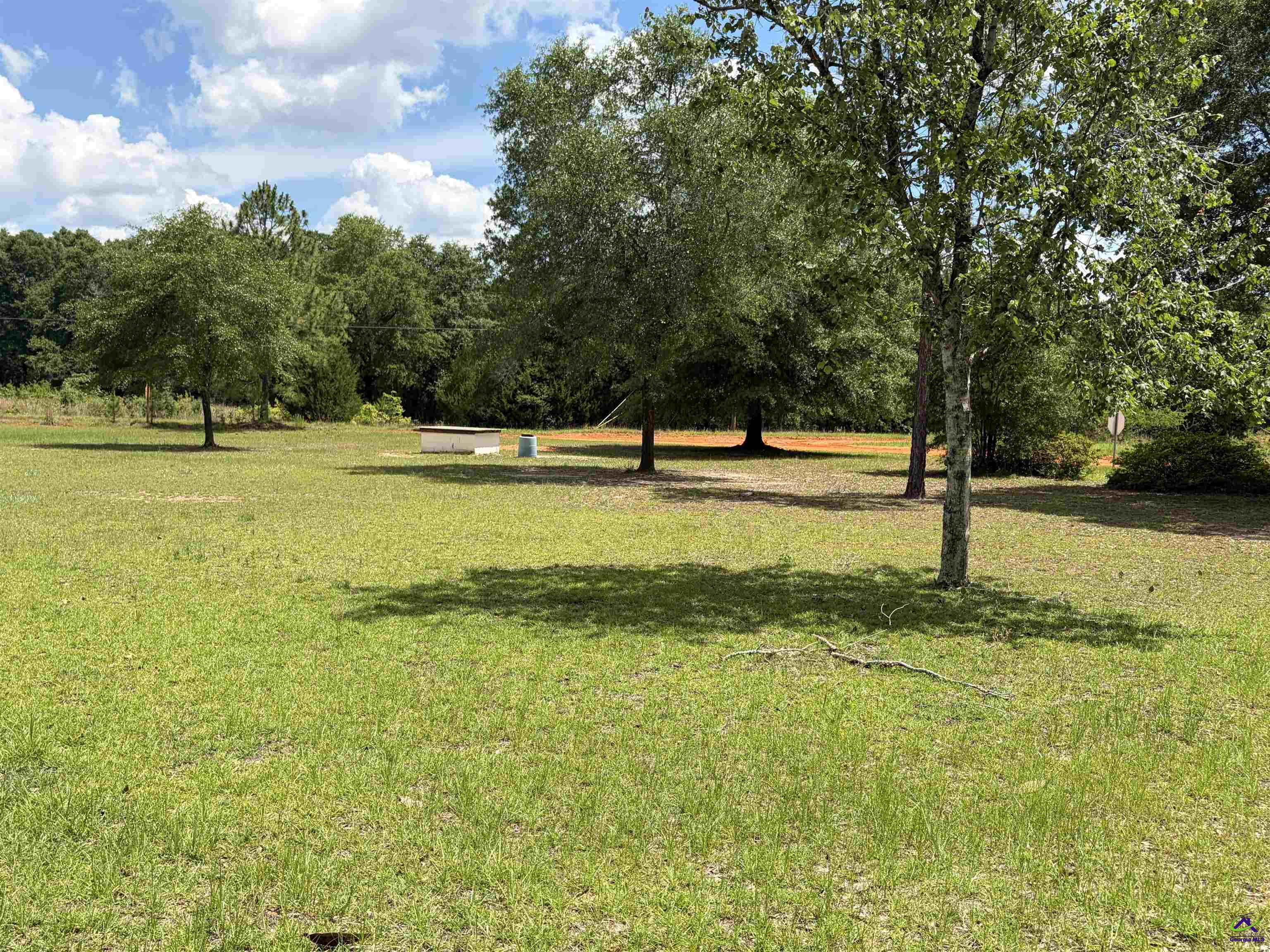2950 Fountainville Road Andersonville, GA 31711 - Photo 10 of 19