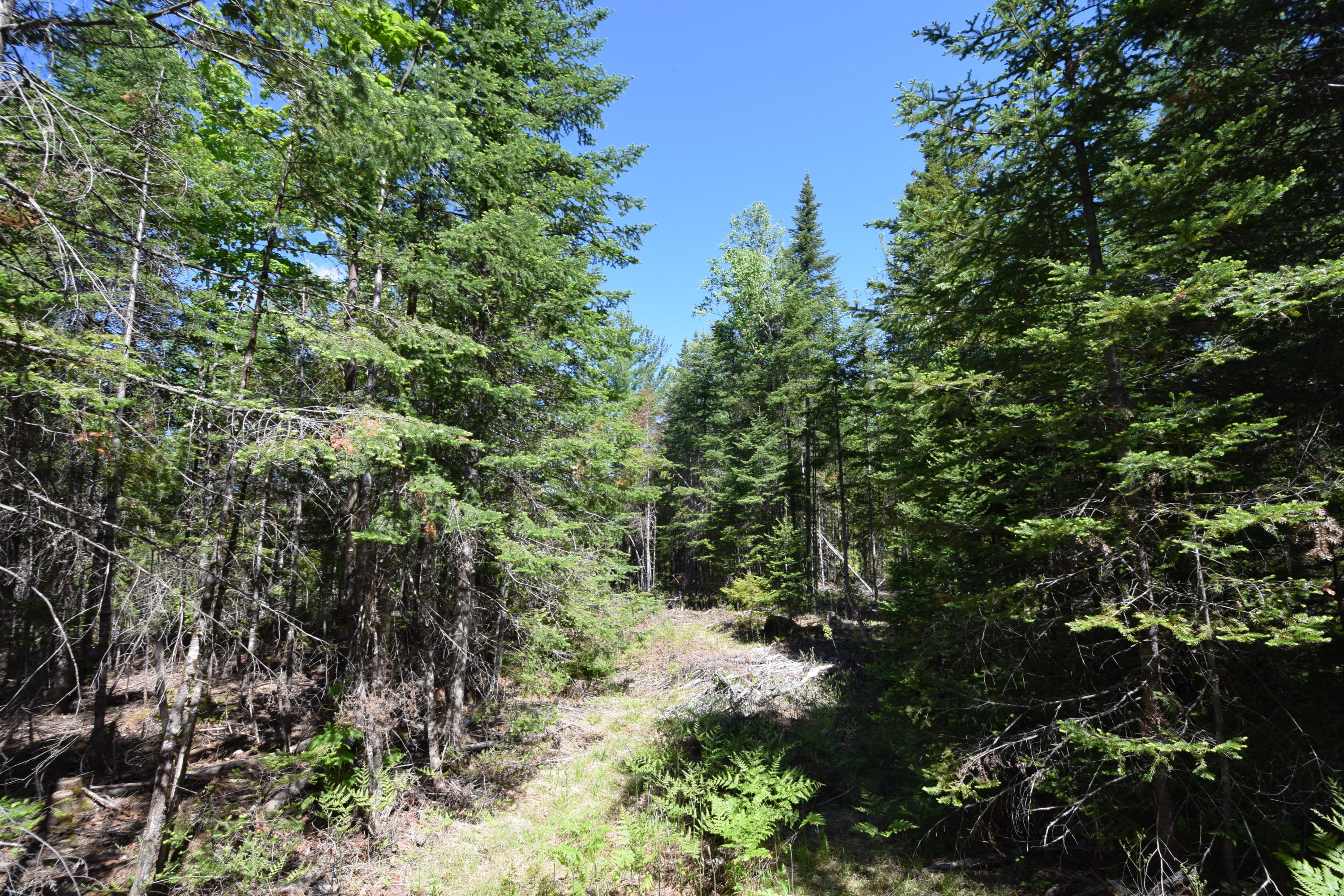 Lot 18 Tenney Hill Road Monson, ME 04464 - Photo 28 of 41 2020-06-01 22.49.29