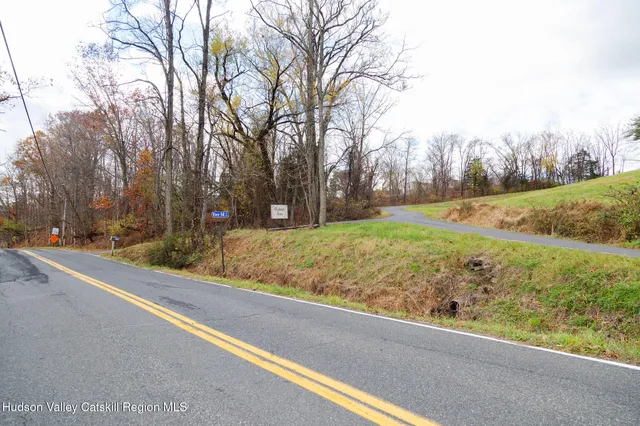 a view of a yard with large tree