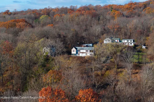 a view of a city with lush green forest