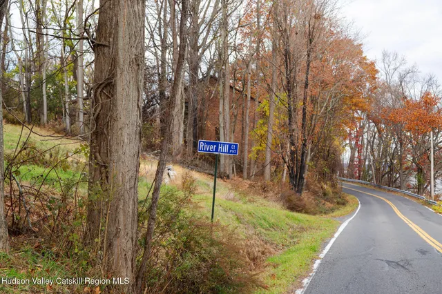 a sign board with tall trees