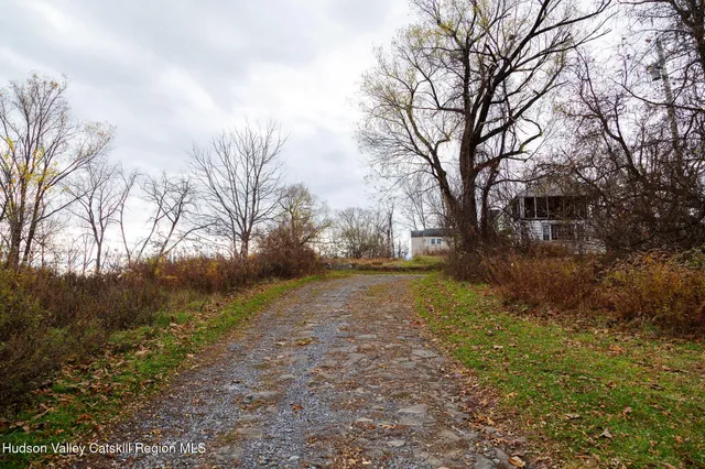 a view of yard with trees