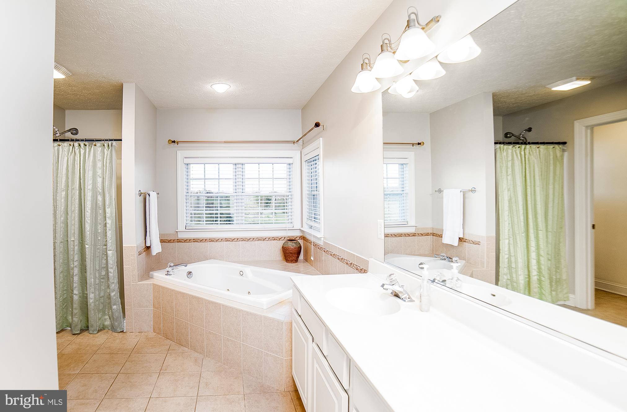 1025 Russell Road Clear Brook, VA 22624 - Photo 22 of 42 Master Bath