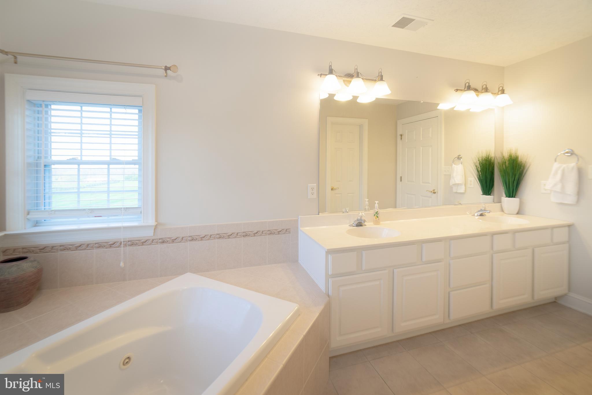1025 Russell Road Clear Brook, VA 22624 - Photo 23 of 42 Master Bath