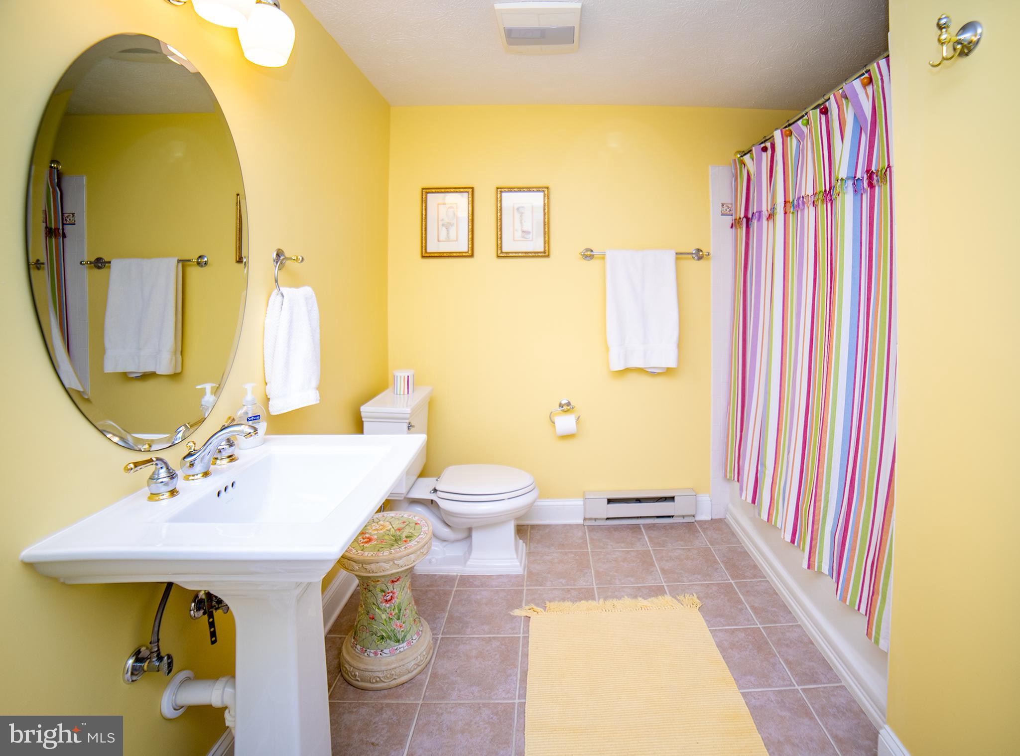 1025 Russell Road Clear Brook, VA 22624 - Photo 32 of 42 Basement Full Bath
